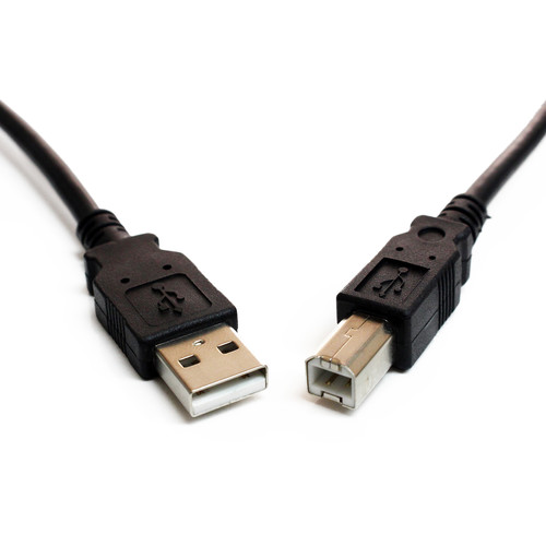 Tera Grand USB 2.0 Type-A to USB Type-B Male Cable (1', Black)