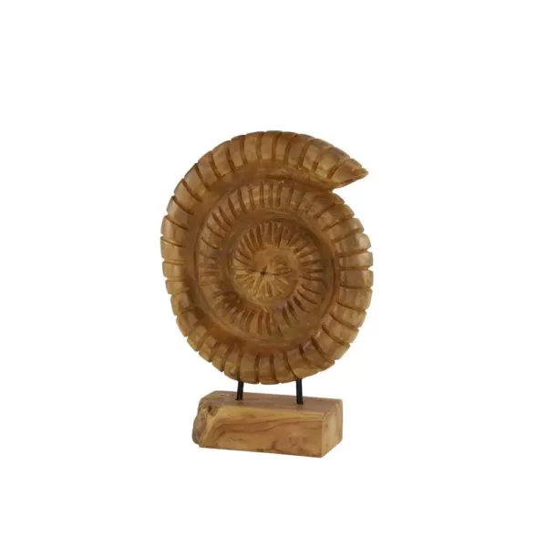 LITTON LANE Brown Nautilus Shell Teak Wood Sculpture on Reclaimed Wood StandB