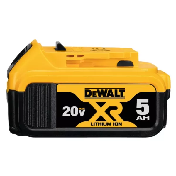 DEWALT 20-Volt MAX XR Premium Lithium-Ion 5.0Ah Battery Pack (10-Pack)