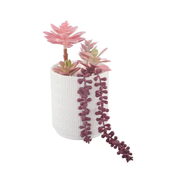 Flora Bunda 12 in. Pink Succulents in 5 in. Greco Ceramic Pot