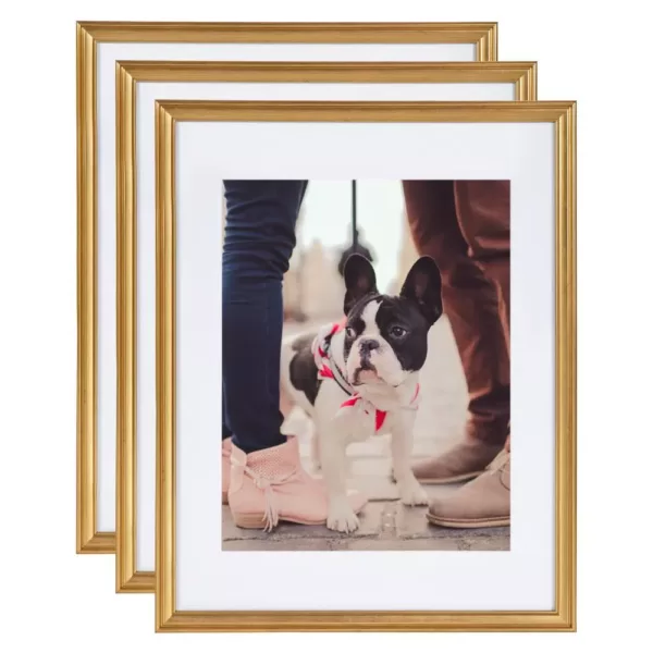 Kate and Laurel Adlynn 14 in. x 18 in. matted to 11 in. x 14 in. Gold Picture Frames (Set of 3)