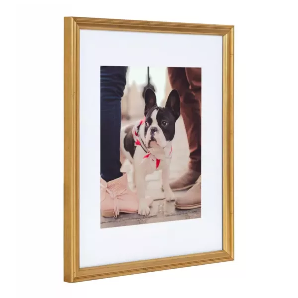 Kate and Laurel Adlynn 11 in. x 14 in. matted to 8 in. x 10 in. Gold Picture Frames (Set of 4)