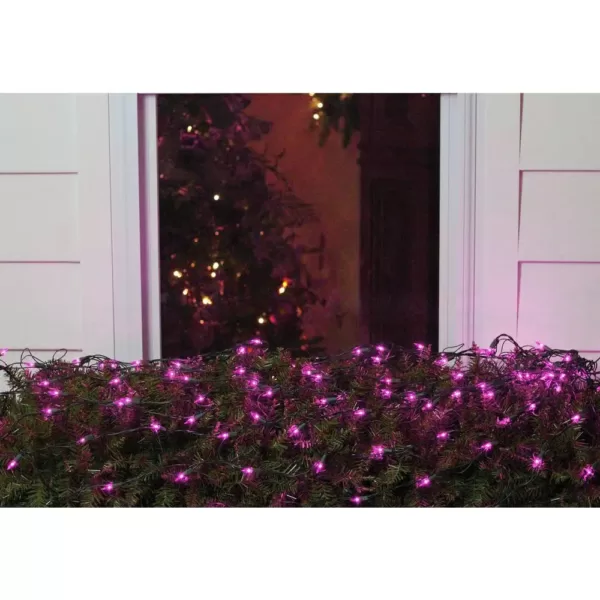 Northlight 4 ft. x 6 ft. Purple Mini Net Style Christmas Lights with Green Wire