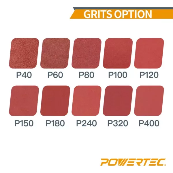 POWERTEC 2 in. x 42 in. 100-Grit Aluminum Oxide Sanding Belt (10-Pack)