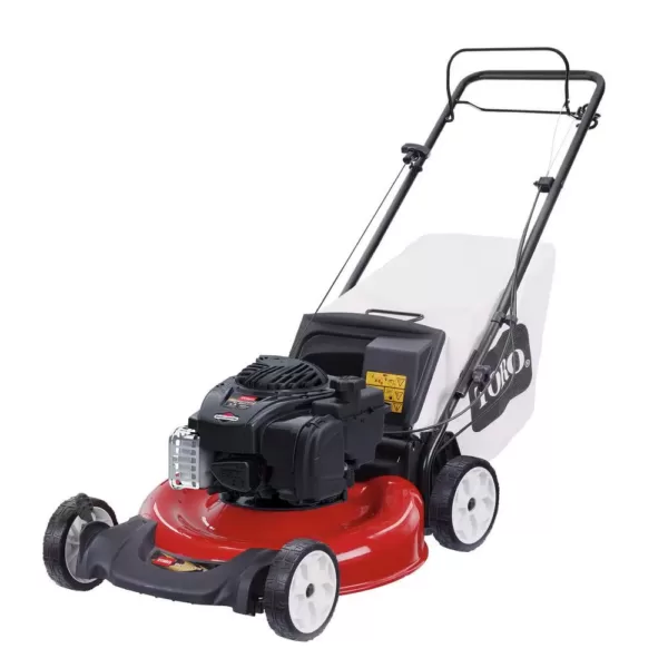 Toro Recycler 21 in. Briggs and Stratton Low Wheel RWD Gas Walk Behind Self Propelled Lawn Mower with Bagger