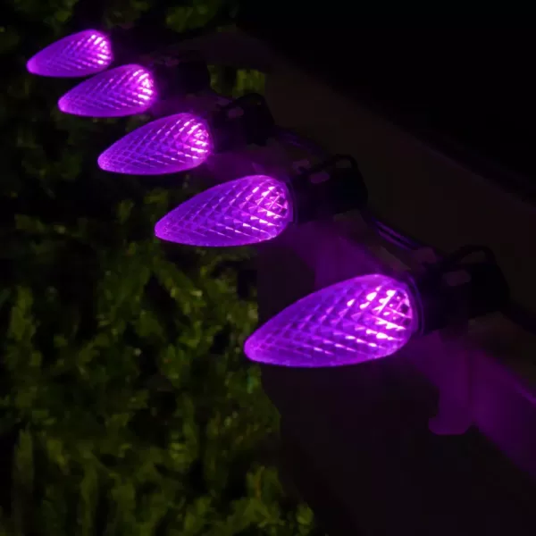 Wintergreen Lighting OptiCore C9 LED Purple Faceted Replacement Light Bulbs (25-Pack)
