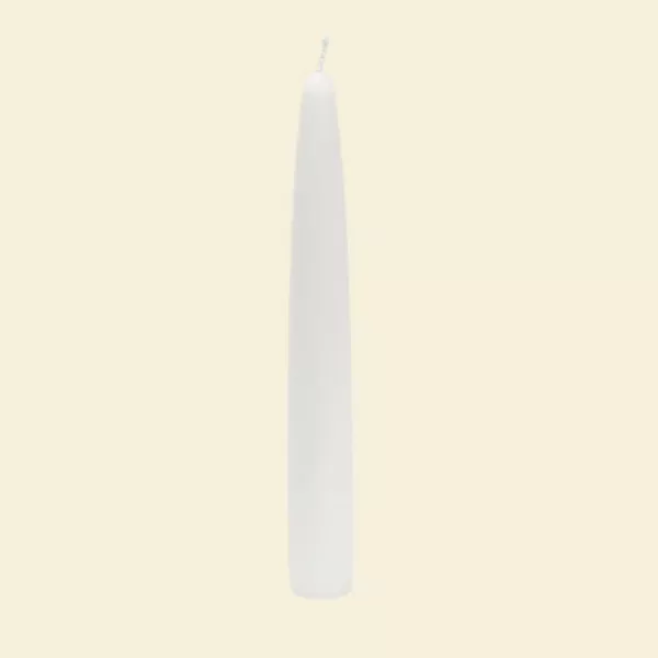 Zest Candle 6 in. White Taper Candles (12-Set)